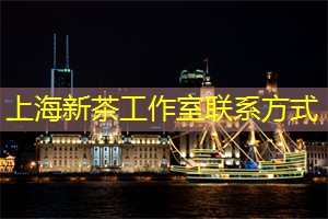 爱上海：你还可以乘船游览湖上