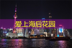 上海新茶工作室：携手美味，留下回忆：上海新茶工作室的独一无二之旅！