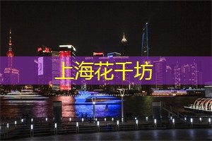上海后花园惊艳绽放：体验别样醉人的花海世界！