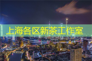 上海419论坛：不一样的上海：从多元视角看都市