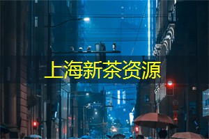 上海品茶网：欧洲艺术与上海的交互