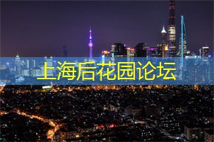 上海品茶网：快闪店及其夜晚活动的蓬勃发展